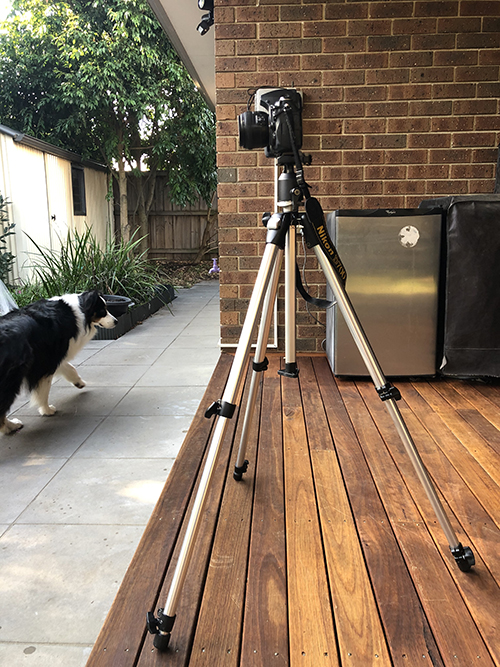 Camera set on tripod for DIY family photos.