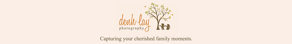 Denh Lay Photography logo