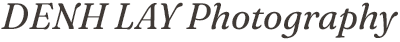 Site Logotype Dark