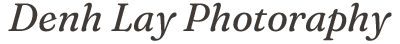 Site Logotype Dark